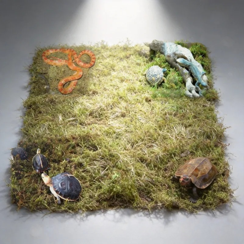 Preserved Moss Sheet - Natural Dried Moss Reptile Terrarium Bedding