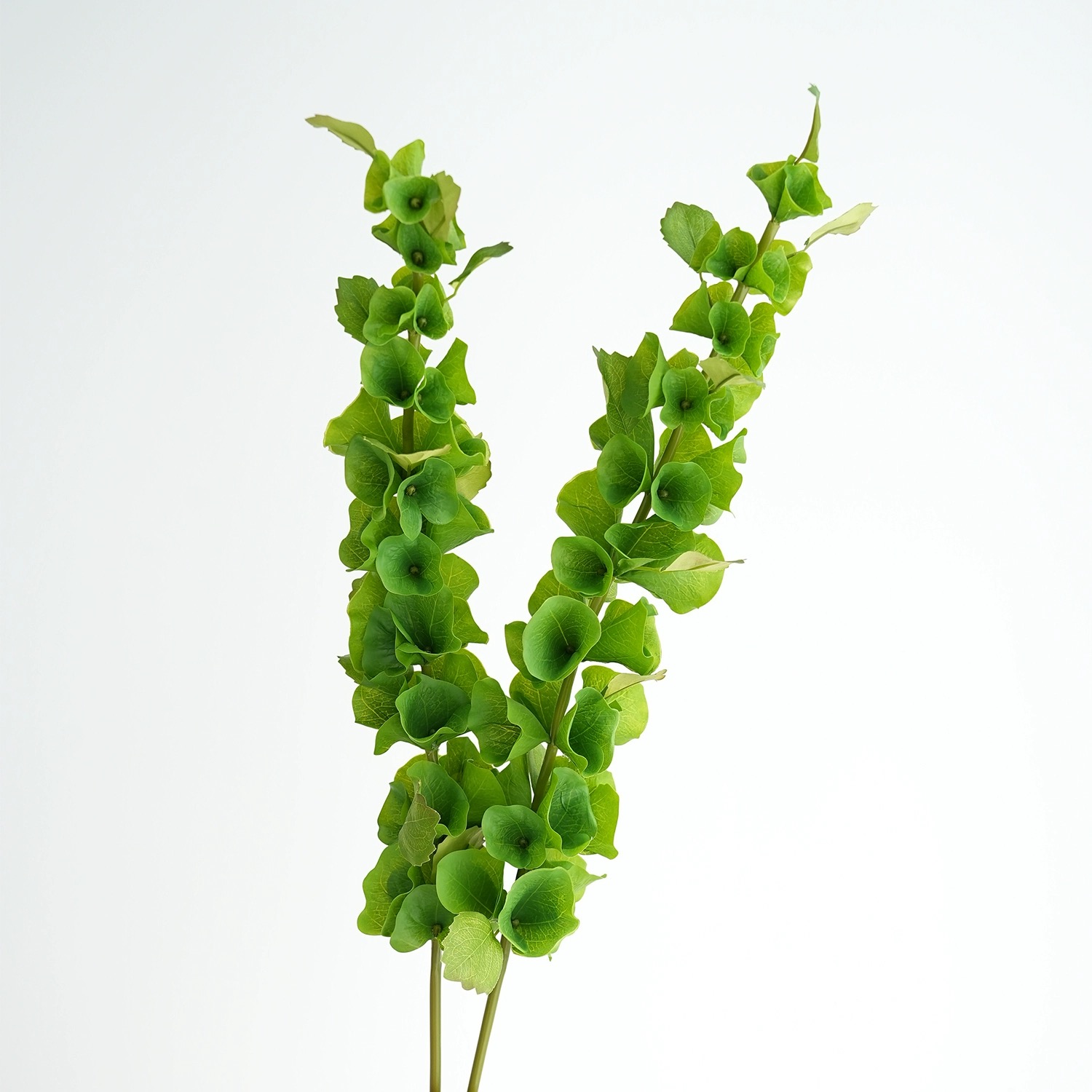 Florist Supply Bulk - 2 pcs Green Artificial Shell Flowers