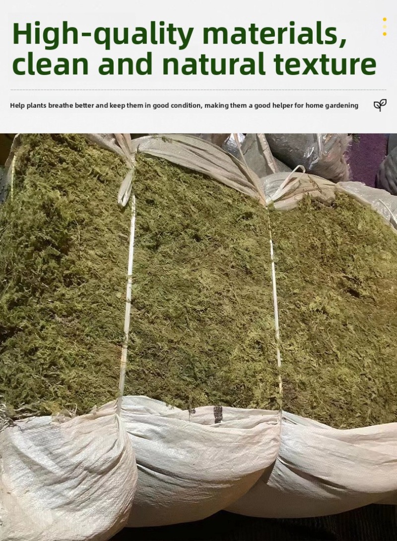 Natural Dried Moss Reptile Ter - Preserved Moss Sheet recension och pris