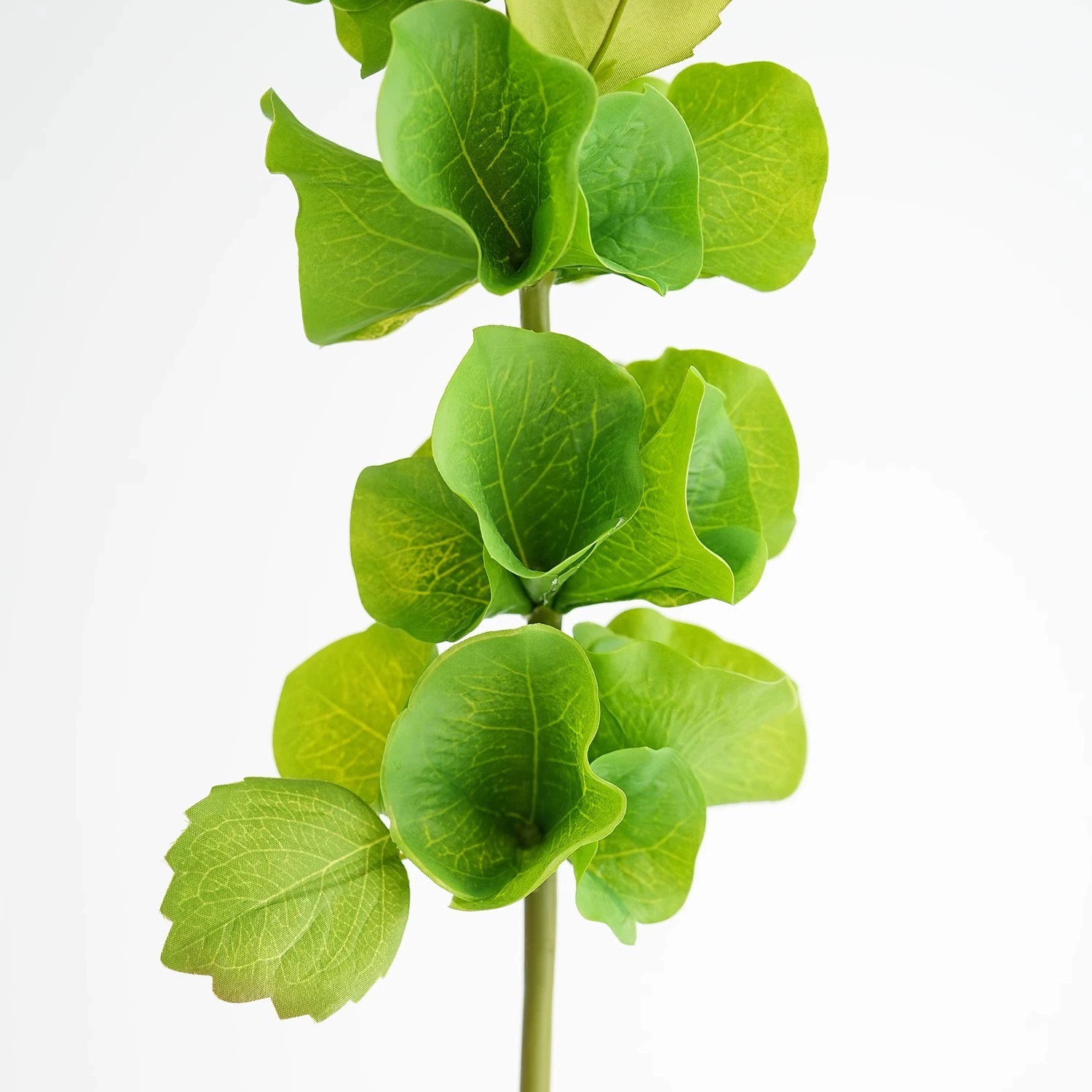 2 pcs Green Artificial Shell F - Florist Supply Bulk recension och pris