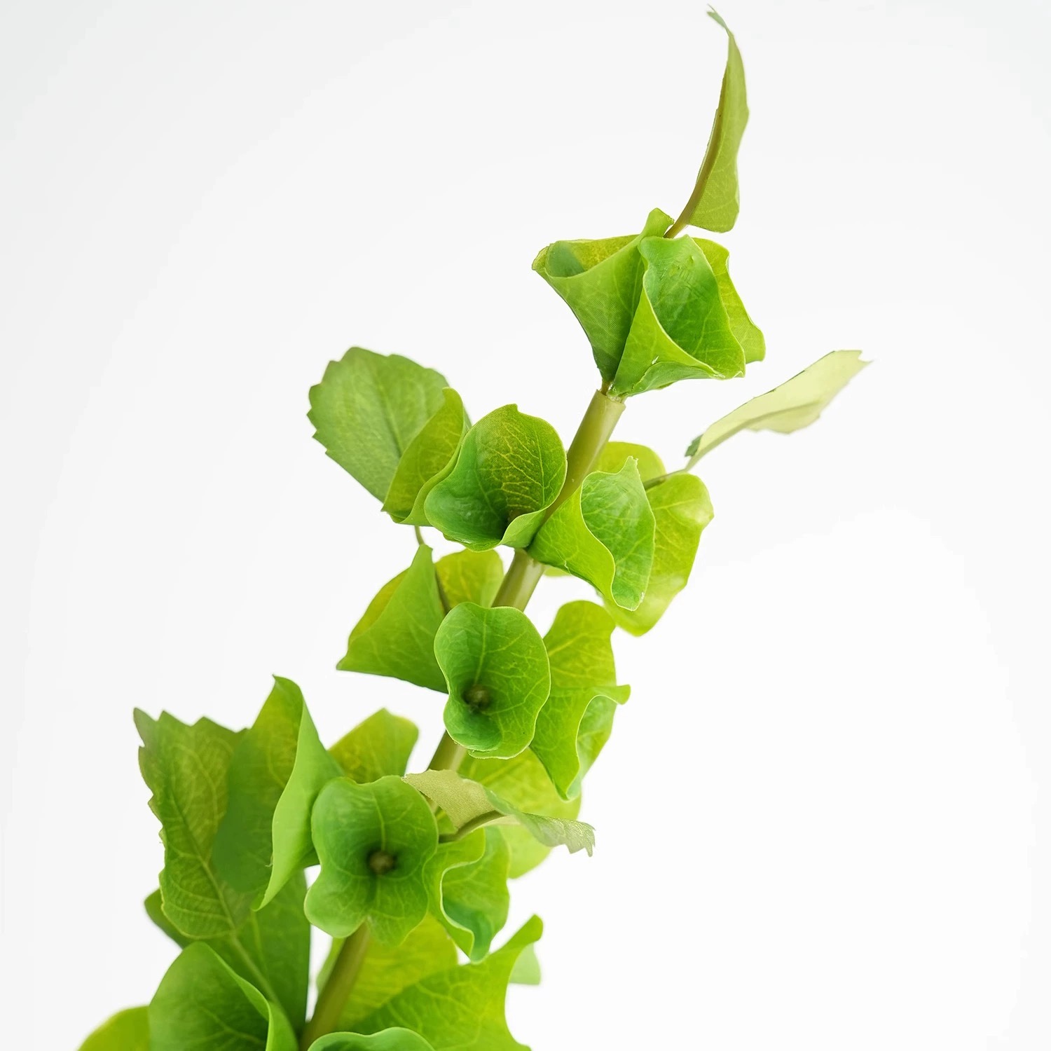 2 pcs Green Artificial Shell F - Florist Supply Bulk recension och pris